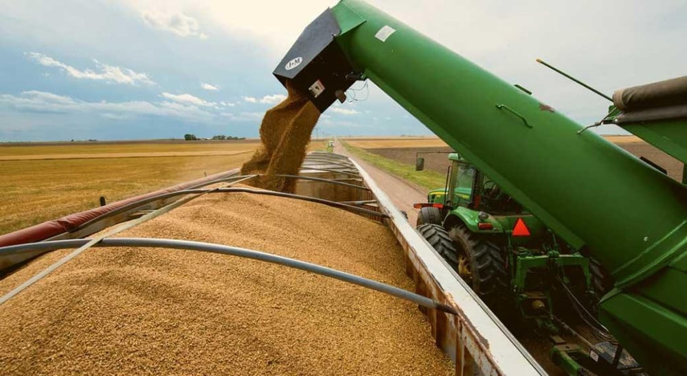 Россия, Казахстан и Армения в лидерах по поставкам пшеницы в Грузию – статистика 