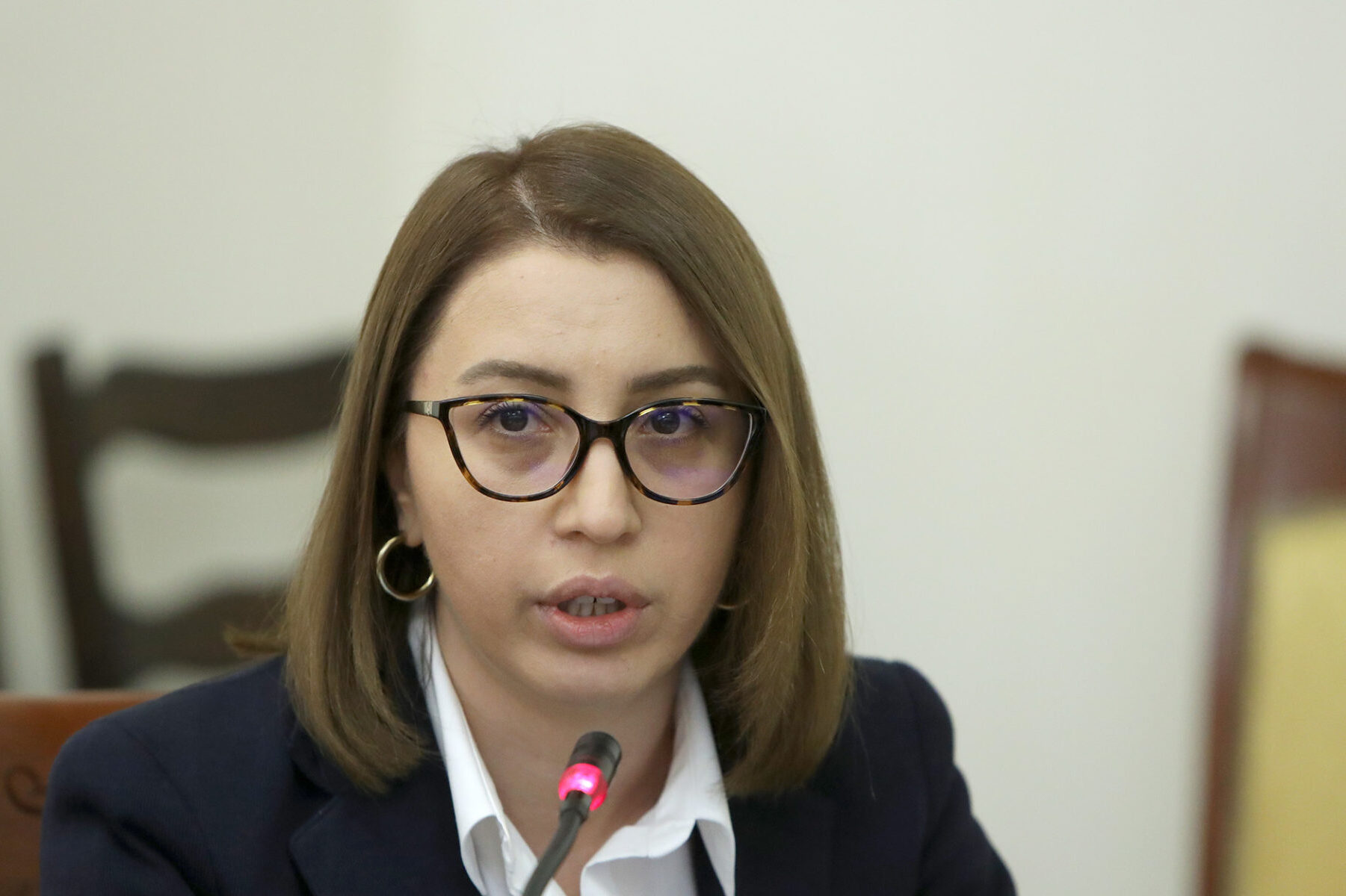 Омбудсмен Армении представила ситуацию в Лачинском коридоре международным организациям 