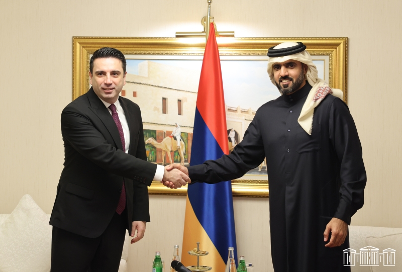 В Армении ждем исторического визита эмира Катара  - Ален Симонян