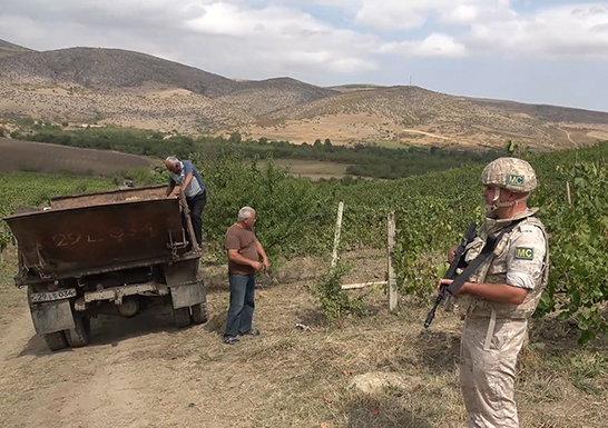 Российские миротворцы обеспечили безопасный сбор винограда на пяти плантациях в Карабахе