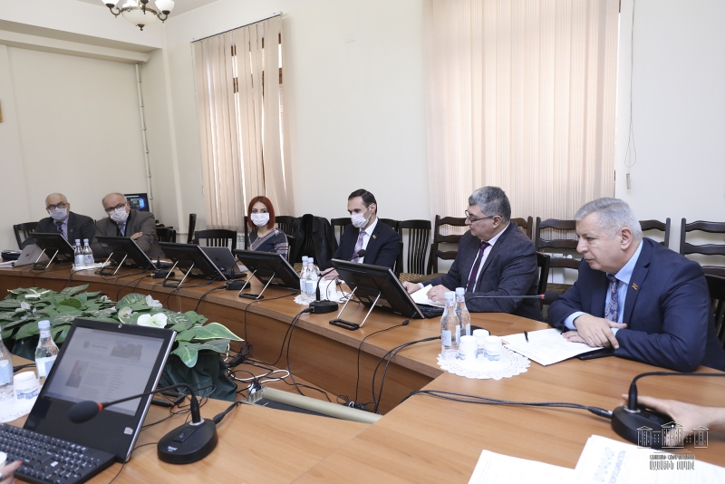 Комиссия НС дала “добро”: полиэтиленовые пакеты в Армении могут попасть под запрет
