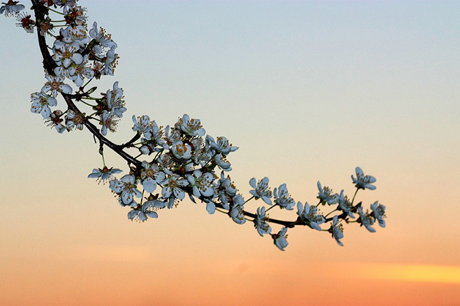 Прогноз радует: весна вступает в свои права 