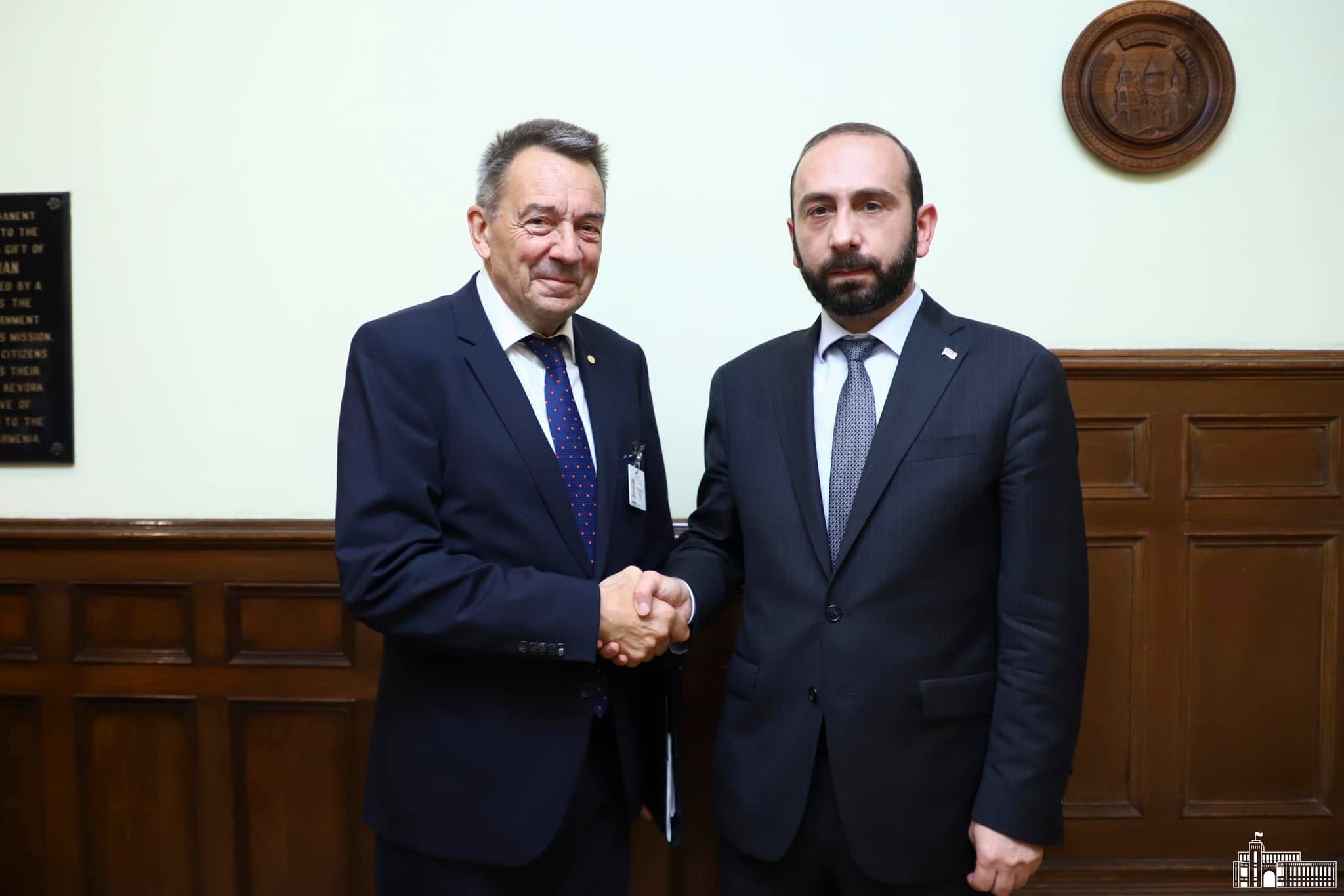 Глава МИД Армении высоко оценил деятельность МККК 