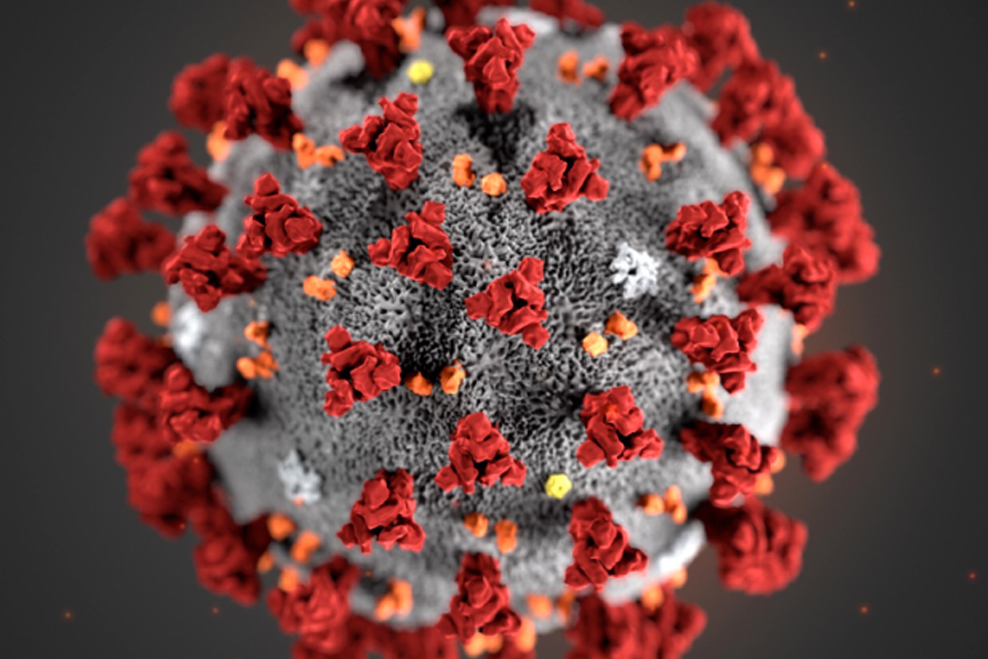 Роспотребнадзор: коронавирус теряет инфекционную активность при плюс 30 градусах