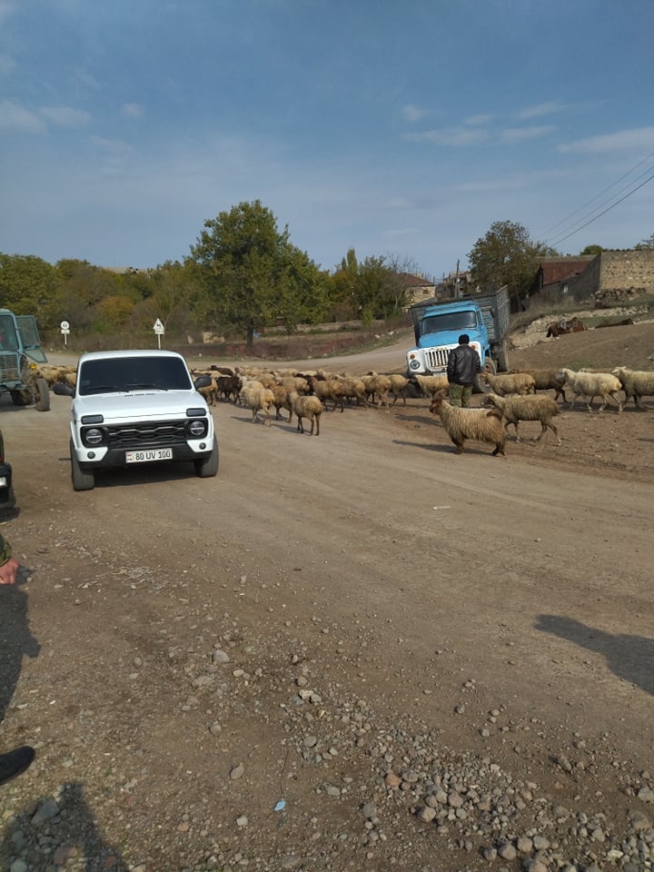 Ադրբեջանը ետ է հանձնել Կոռնիձորի բնակչին պատկանող թվով 106 գլուխ ոչխարները
