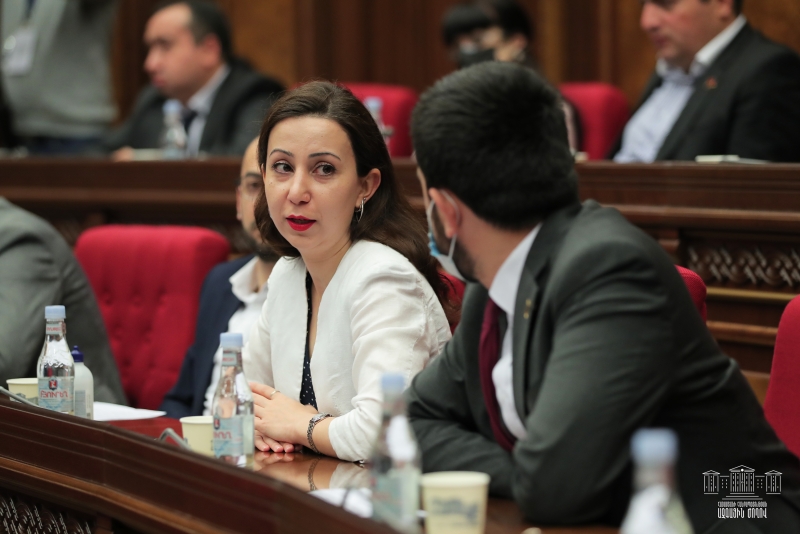 Мария Карапетян: Армянский народ не может жить прошлым, это не жизнь