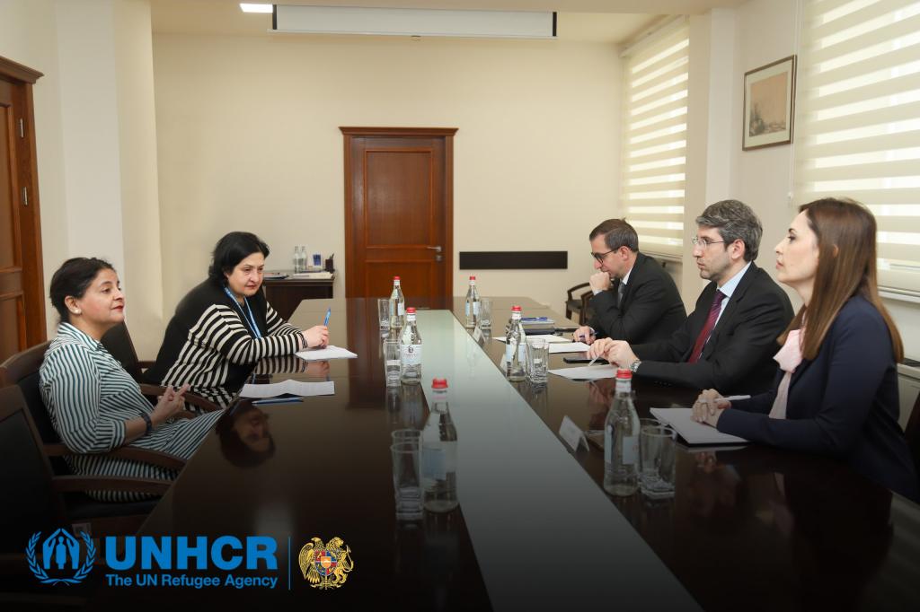 Գրիգոր Մինասյանն  ընդունել է Հայաստանում UNHCR-ի ներկայացուցչին