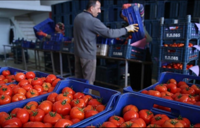 Турция освободила импорт товаров из Нахичевана от таможенных пошлин