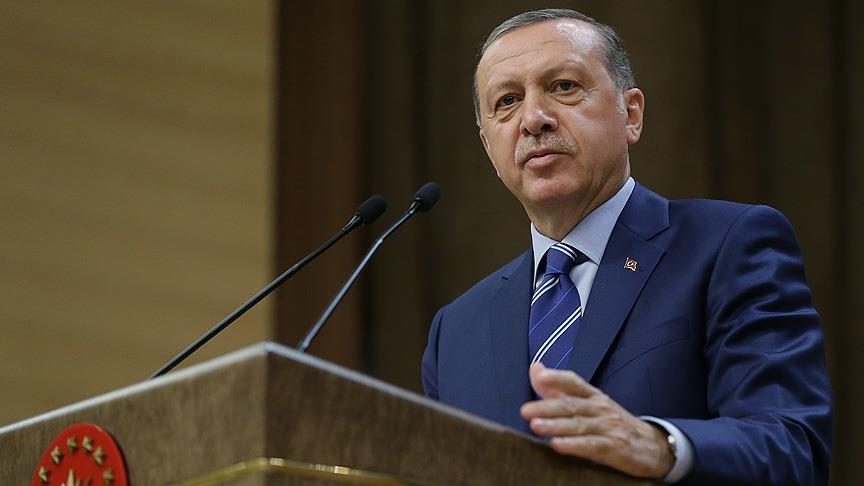 Эрдоган: Операция турецкой армии направлена против ИГ и сирийских курдов