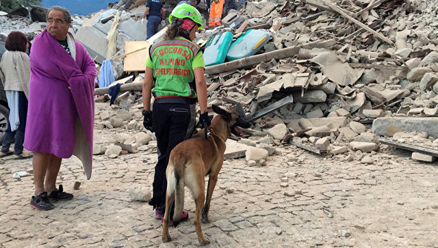 Число жертв землетрясения в Италии возросло до 247