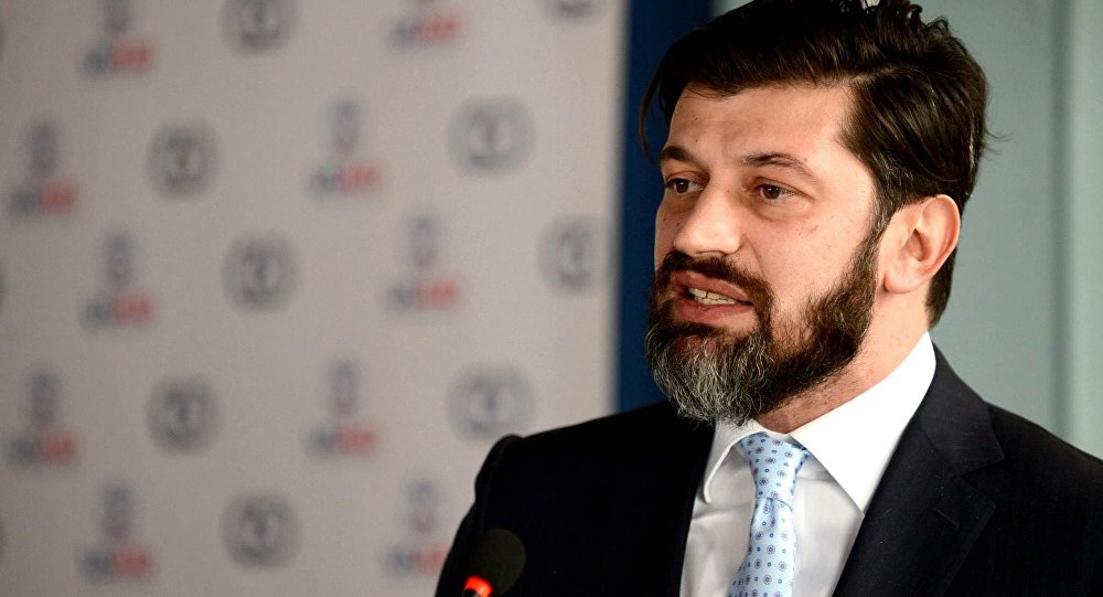 Каладзе: Вопросы газификации Грузии будет решать SOCAR