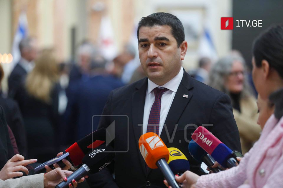 Спикер парламента Грузии пожаловался на ряд НПО и заявил о давлении на депутатов 