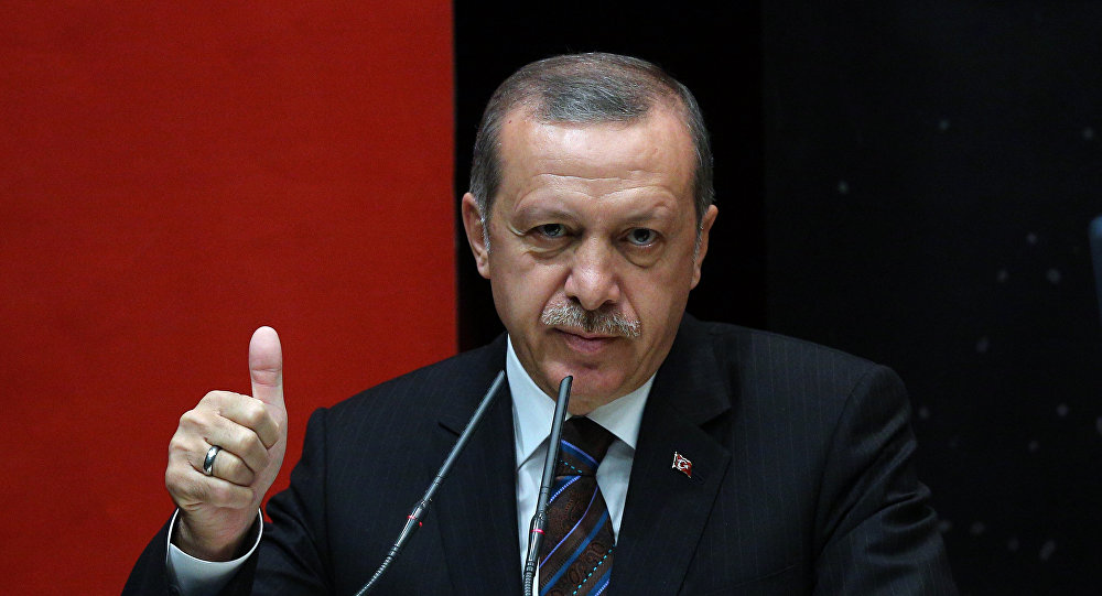Парламент Турции одобрил расширяющие полномочия Эрдогана поправки