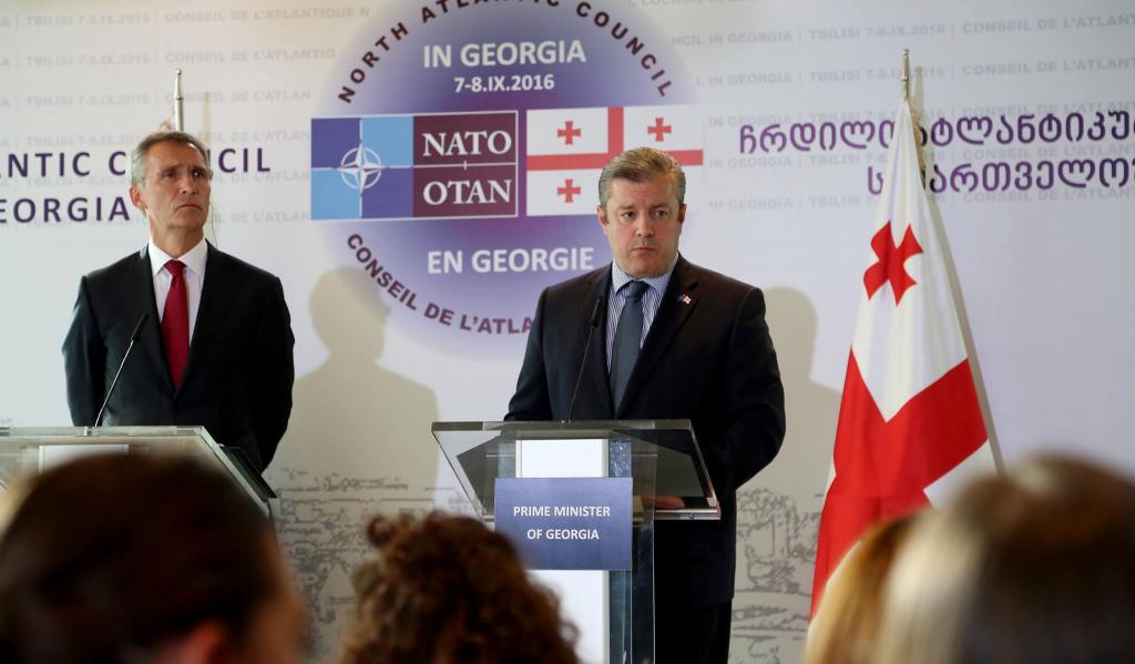 Вопрос вступления Грузии в НАТО грозит властям политическим скандалом 