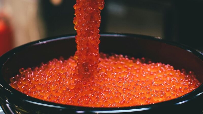 ՀՀ տարածքից սիգի ձկնկիթի արտահանման ժամանակավոր արգելք կսահմանվի