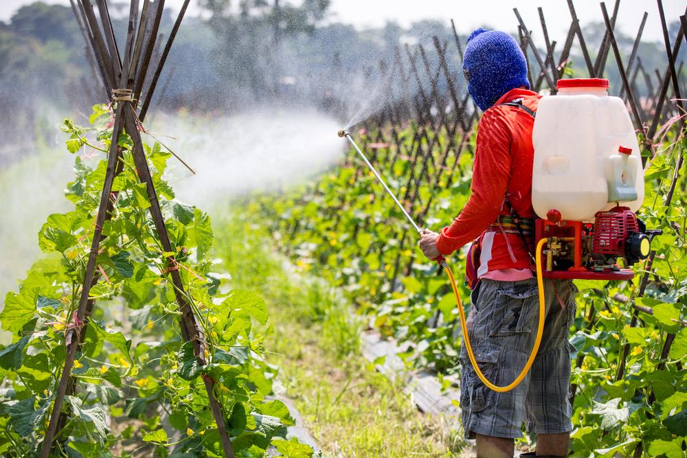 В Армении меняют подходы к импорту агрохимикатов и пестицидов