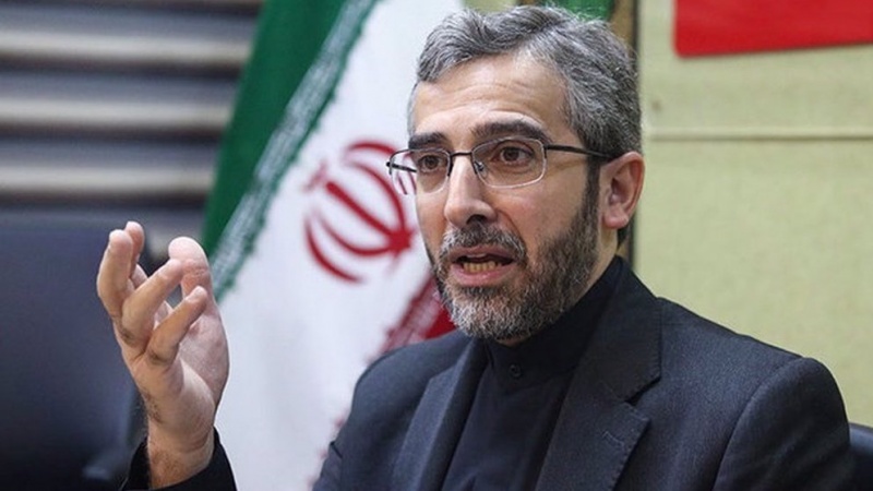 Присутствие иностранных сил не может обеспечить мир и стабильность в регионе — МИД Ирана