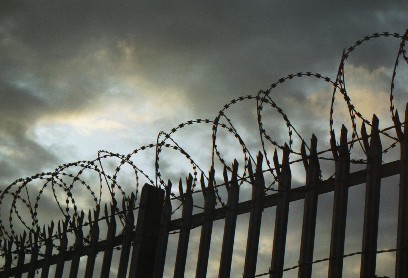 В российских тюрьмах отбывают наказание 2 350 азербайджанцев
