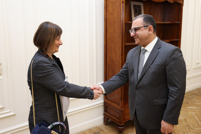 Тигран Хачатрян провел встречу с постоянным представителем офиса ПРООН в Армении