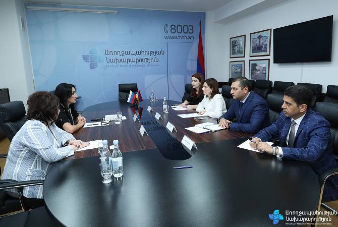 Чиновник РФ: Армения для граждан РФ - популярное направление оздоровительного туризма