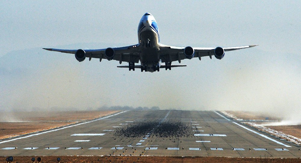 Շուտով կարող է ավիաշուկա մուտք գործել հայկական ավիաընկերություն. Տաթևիկ Ռևազյան