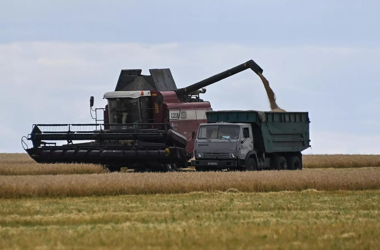 Снижение производства пшеницы в Грузии и рост импорта из России