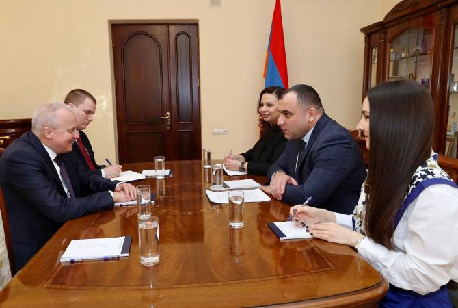 Председатель КС Армении принял посла России
