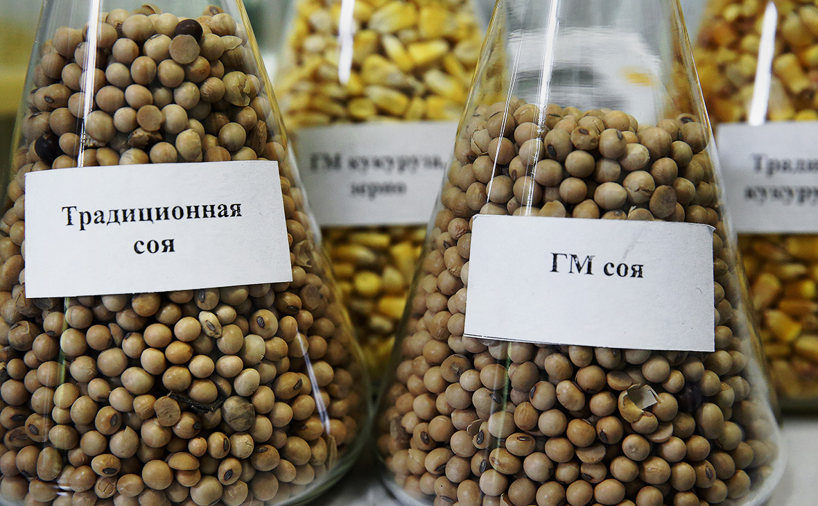 С сегодняшнего дня в ЕАЭС продукты начнут маркировать знаком «ГМО»