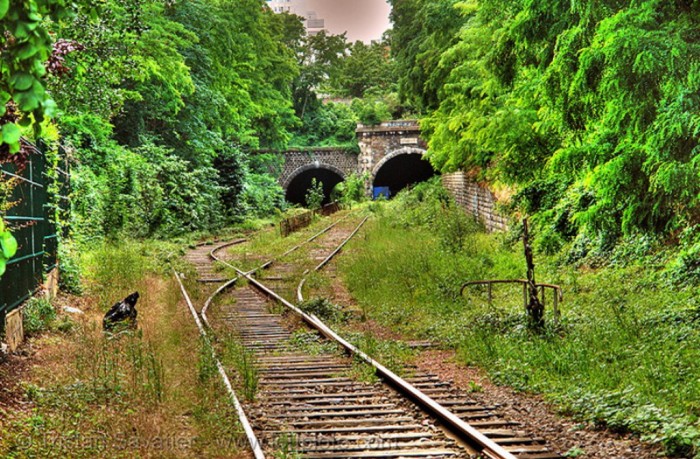Заинтересована ли Россия в восстановлении абхазской железной дороги?  