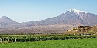 Ճանապարհի եզրին վաճառվող բերքից դեպի պետական մթերում. «Ուժեղ Հայաստանի» տեսլականը  