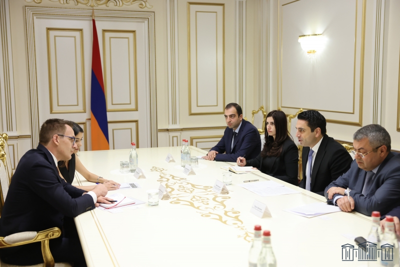 Спикер подчеркнул необходимость поддержки международных партнеров в выводе ВС Азербайджана