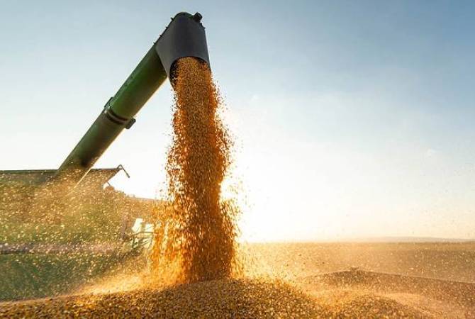 Кулеба: Киев не пойдёт на уступки по зерновой сделке, о которых говорил Эрдоган