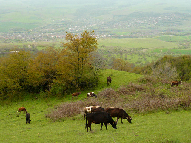 ЕАБР, правительство Армении и «Еремян Фарм» заключили меморандум о развитии аграрной сферы