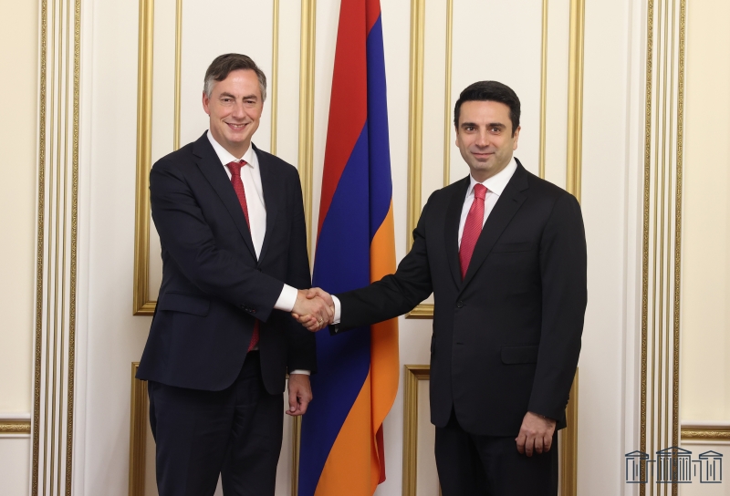 Спикер НС Армении принял председателя Комитета Европарламента по иностранным делам 