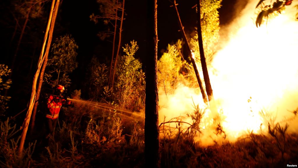 Վայոց ձորում այրվում է 230 հա խոտածածկ և անտառային տարածք