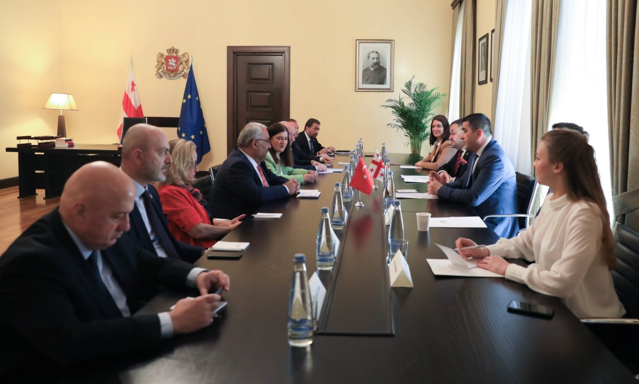 Спикер парламента Грузии обсудил с турецкими депутатами сотрудничество в регионе