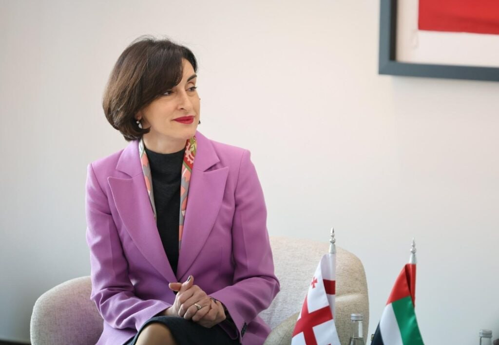  Двойные стандарты и неверные шаги ЕС – лидеры Грузии о политике Брюсселя 