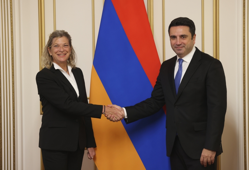 Ալեն Սիմոնյանն ընդունել է Ֆրիդրիխ Էբերտ հիմնադրամի գործադիր տնօրենին