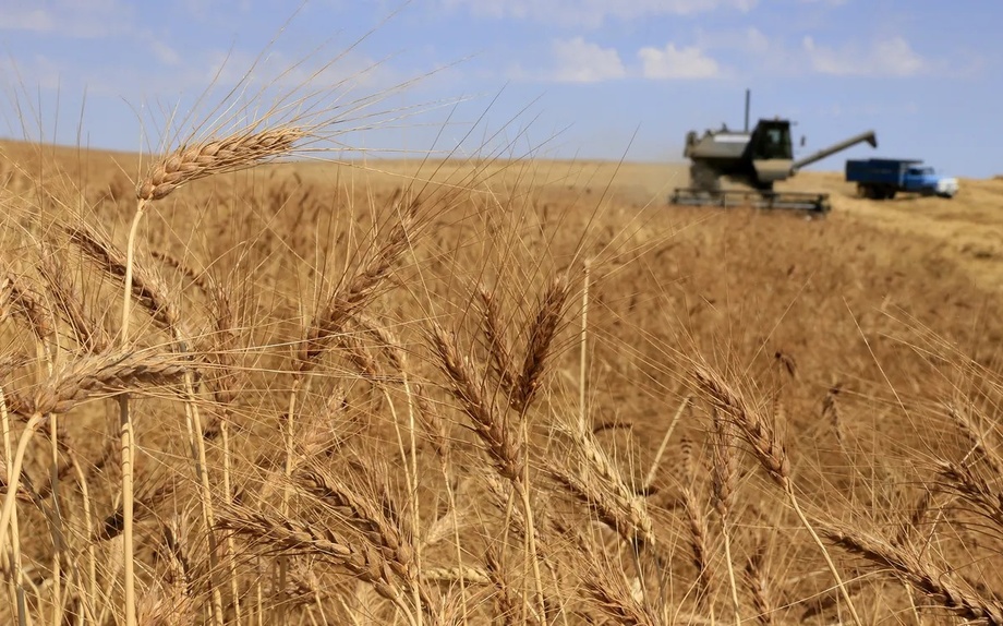 В Армении введен запрет на экспорт ряда сельскохозяйственных товаров