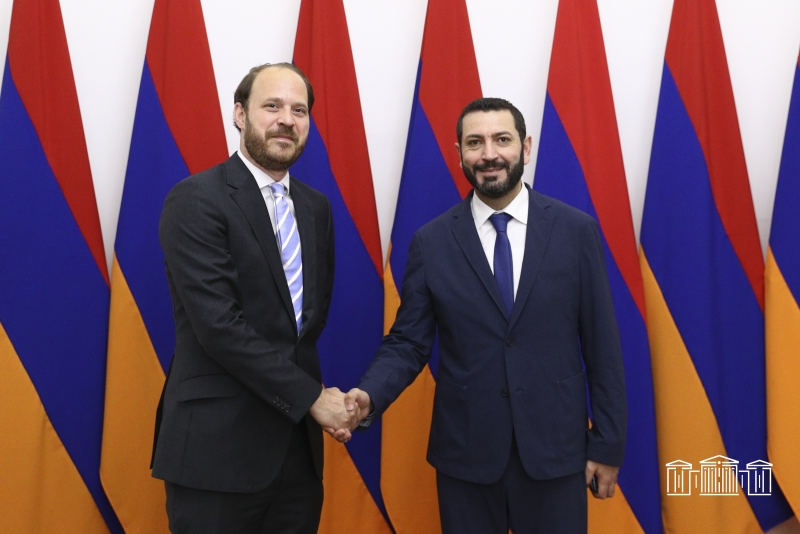 Австрия имеет ключевое значение для Армении: Бакоян – Николаусу Шераку