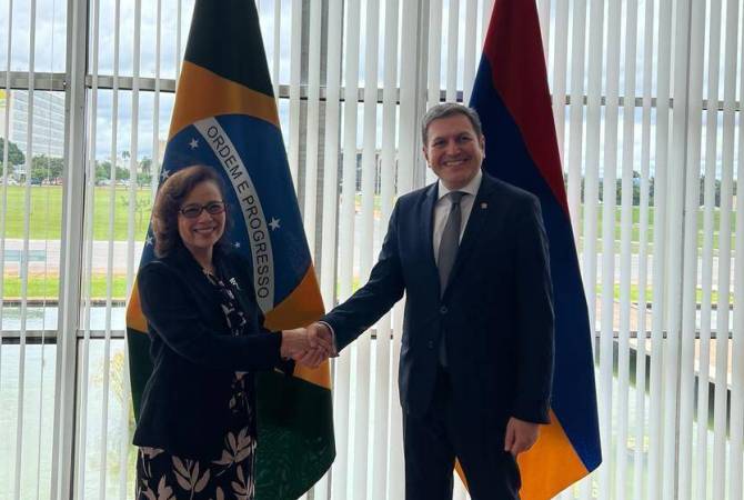Армения и Бразилия проводят политические консультации