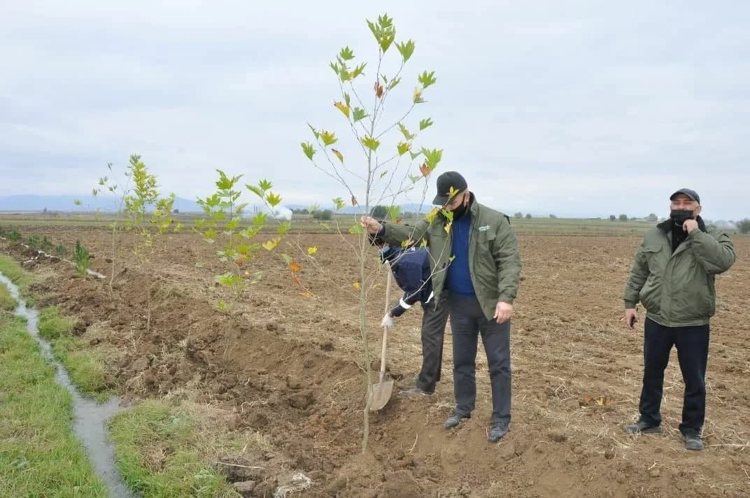 Հայաստանում երկու տարում տնկվել է 702 հազար 280 ծառ