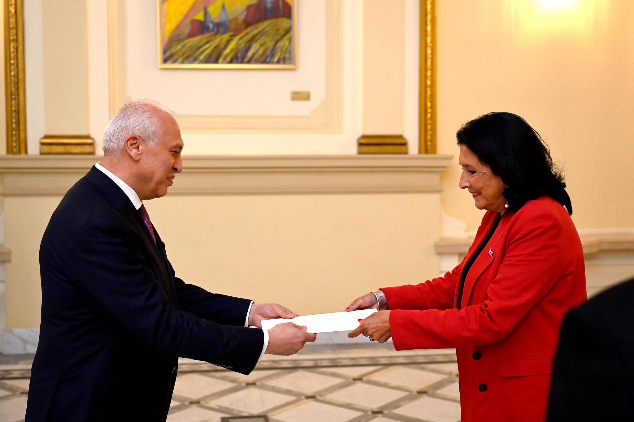 Վրաստանում ՀՀ նորանշանակ դեսպանը իր հավատարմագրերը հանձնեց Վրաստանի նախագահին