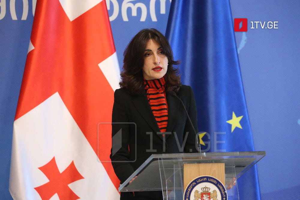  Глава МИД Грузии осудила «двойные стандарты» ЕС, назвав их совершенно не прагматичными  