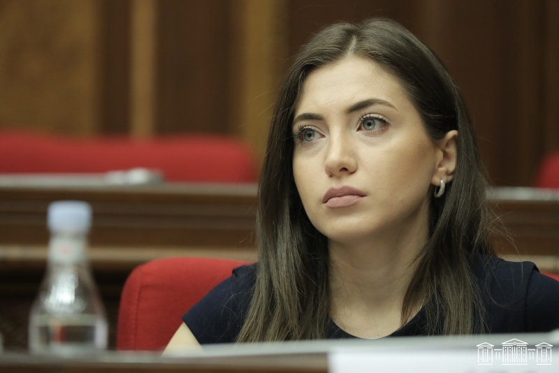 Любое понравившееся властям предложение приобретает в Армении форму закона – депутат