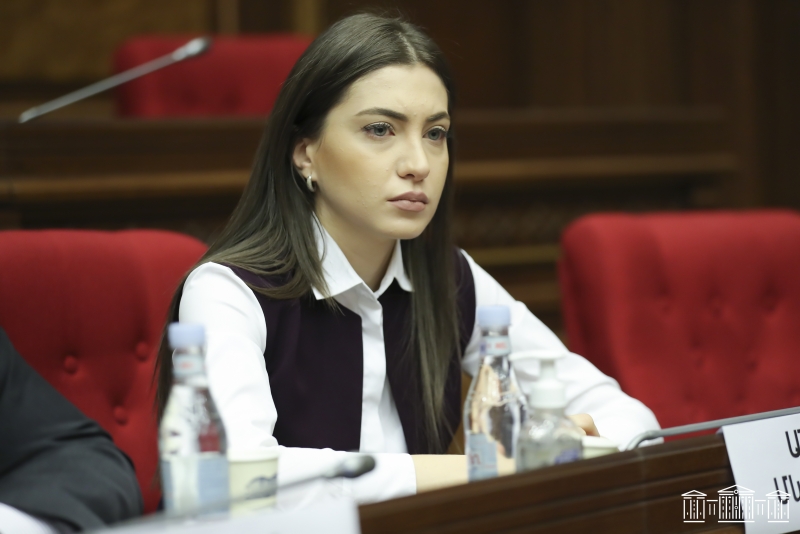Оппозиционер обвинила премьера в фактическом согласии предоставить Баку коридор
