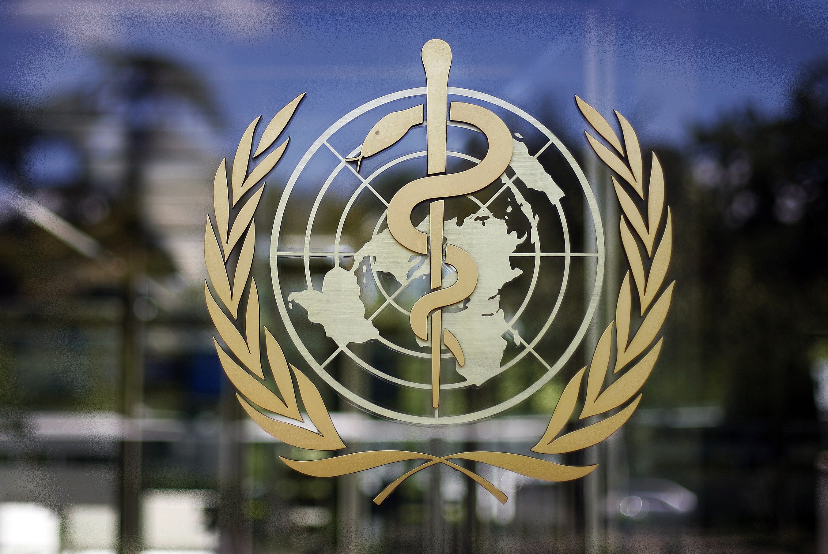 Эксперты ВОЗ посетят Таджикистан и Туркмению, где официально нет коронавируса