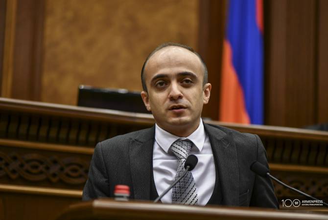 Парламент Армении принимает законы «для галочки» - депутат