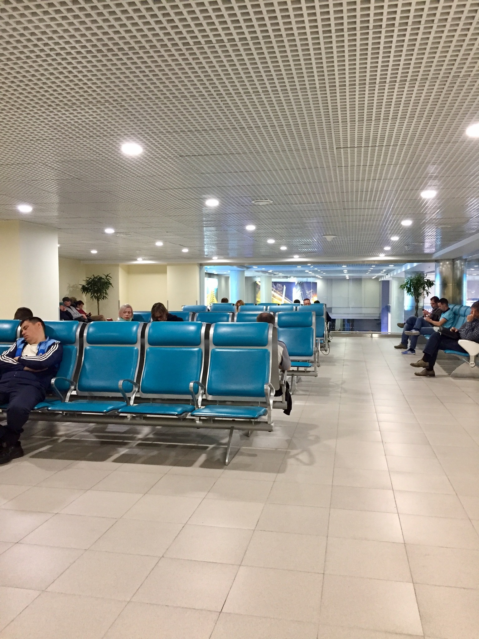 Группа граждан Армении продолжает находиться в аэропорту «Домодедово»
