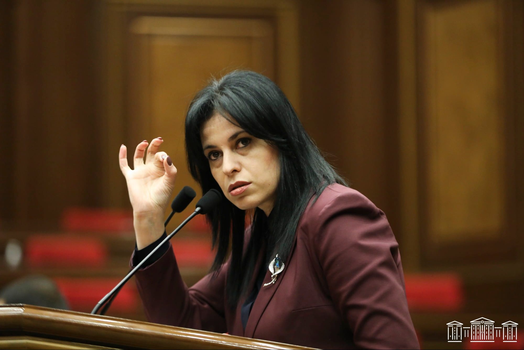 Քննիչի որոշմամբ թույլատրվել է Արեգնազ Մանուկյանի տեսակցությունը դստեր հետ. Պաշտպան